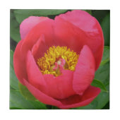 "TIEFE PINKSPIELE MIT GOLDZENTRUM" FLIESE (Vorderseite)