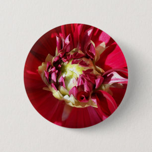 tiefe rote Blüte Button