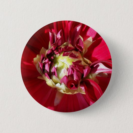tiefe rote Blüte Button (Vorderseite)
