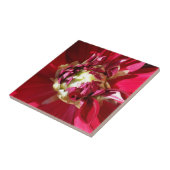 tiefe rote Blüte Fliese (Seite)