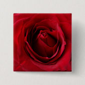 tiefe rote Rose Button (Vorderseite)