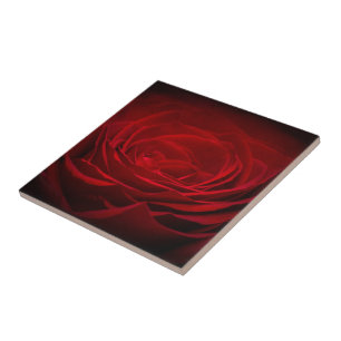 Tiefe Rote Rose Fliese
