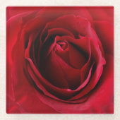 tiefe rote Rose Glasuntersetzer (Vorderseite)
