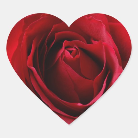 tiefe rote Rose Herz-Aufkleber (Vorderseite)
