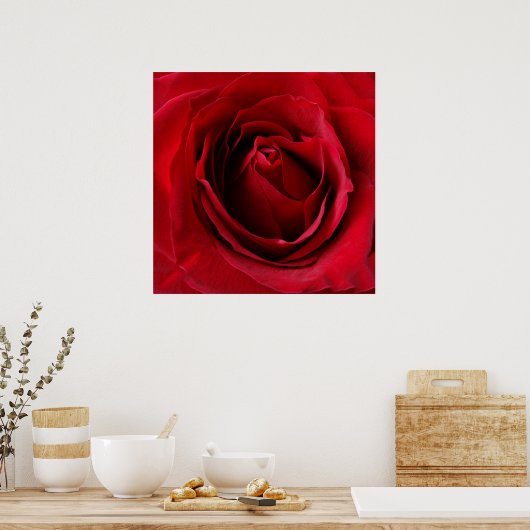 tiefe rote Rose Poster (Küche)