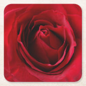 tiefe rote Rose Rechteckiger Pappuntersetzer (Vorderseite)