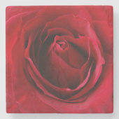 tiefe rote Rose Steinuntersetzer (Vorderseite)