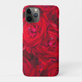 Tiefe rote Rosen Case-Mate iPhone Hülle (Rückseite)