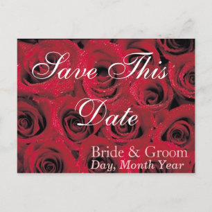 Tiefe Rote Rosen Save the Date Postkarte (1)