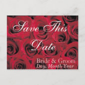 Tiefe Rote Rosen Save the Date Postkarte (1) (Vorderseite)