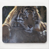 Tiefer Gedanke Mousepad (Vorne)