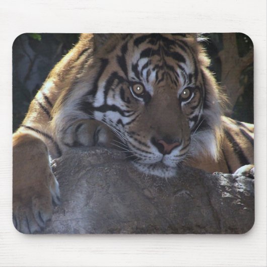 Tiefer Gedanke Mousepad (Vorne)