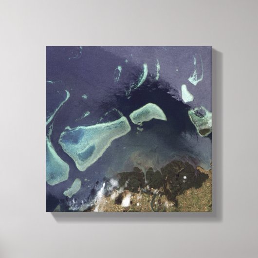 Tiefer grüner Wald an Land Leinwanddruck (Vorderseite)