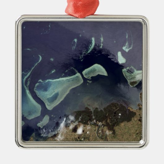 Tiefer grüner Wald an Land Ornament Aus Metall (Vorne)