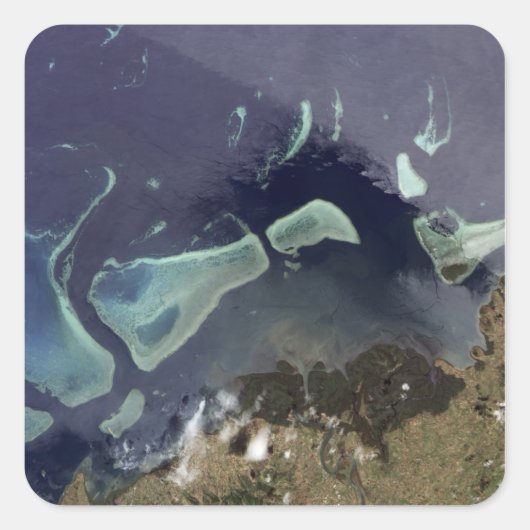 Tiefer grüner Wald an Land Quadratischer Aufkleber (Vorderseite)