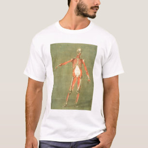Tieferes muskulöses System der Front des Körpers T-Shirt