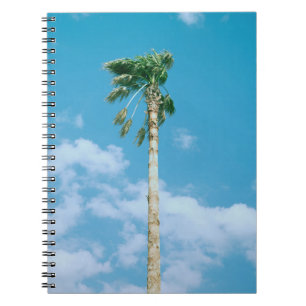 Tiefes Foto von Palmen unter blauem Himmel Notizblock