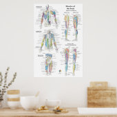 Tiefes Muskelanatomie-Diagramm Poster (Küche)