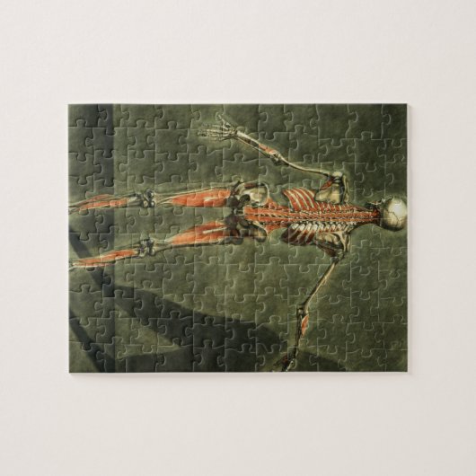 Tiefes muskulöses System der Rückseite des Puzzle (Horizontal)