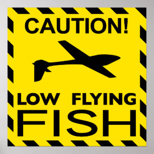 "Tiefflug-Fisch-" Plakat