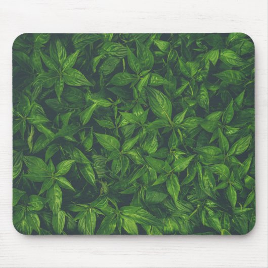 Tiefgrüne Blätter Mousepad (Vorne)