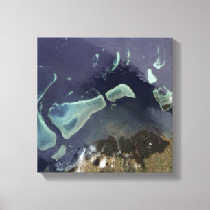 Tiefgrüner Wald auf Land Leinwanddruck