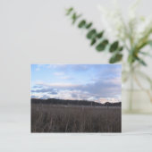 Tiefkühlbecken Postkarte (Stehend Vorderseite)