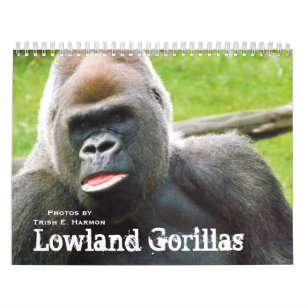 Lustige Gorillas Schul Buroartikel Zazzle De