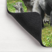 Tiefland Silverback-Gorillagehen Mousepad (Ecke)