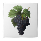 Tiefpurpurne Trauben Redoute Keramik-Fliese Fliese (Vorderseite)