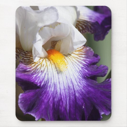 Tiefpurpurne und weiße Iris Mousepad (Vorne)