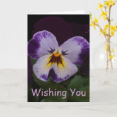 Tiefpurpurnes weißes Stiefmütterchen Karte (Gelbe Blume)