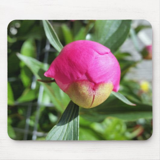 tiefrosa Bube Mousepad (Vorne)