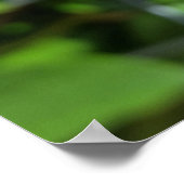 tiefrosa Bube Poster (Ecke)