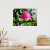 tiefrosa Bube Poster (Küche)