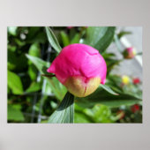 tiefrosa Bube Poster (Vorne)