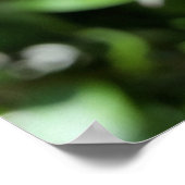 tiefrosa Bube Poster (Ecke)