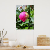 tiefrosa Bube Poster (Küche)