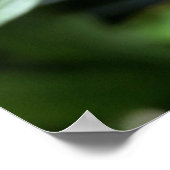 tiefrosa Bube Poster (Ecke)