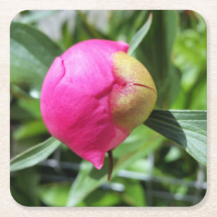 tiefrosa Bube Rechteckiger Pappuntersetzer