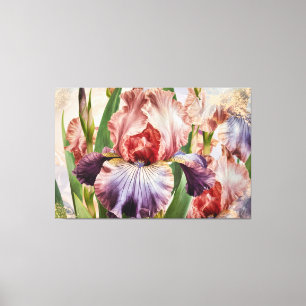 *~* Tiefrosa IRIS Schwertlilien Vintage Floral TV2 Leinwanddruck
