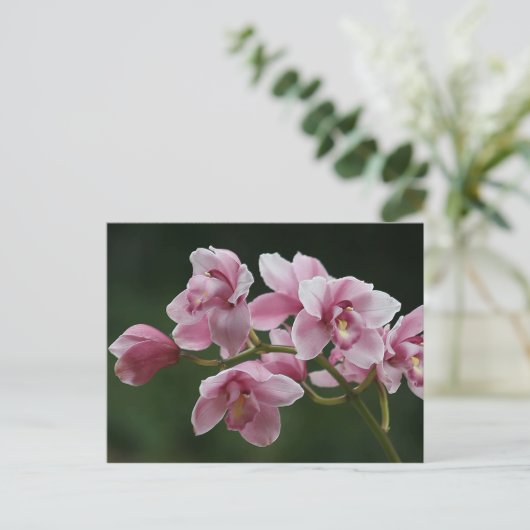 Tiefrosa Orchideenkarte Postkarte (Stehend Vorderseite)