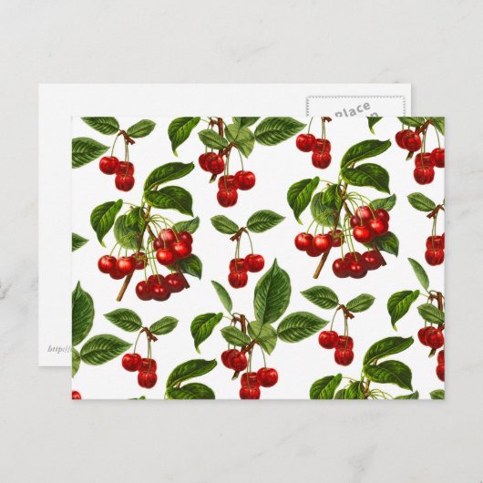 Tiefrote Botanische Kirsche Print Postkarte (Vorne/Hinten)