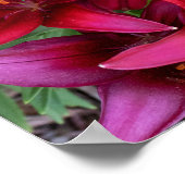 Tiefrote Farben Poster (Ecke)