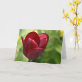 Tiefrote Tulpe Karte (Gelbe Blume)