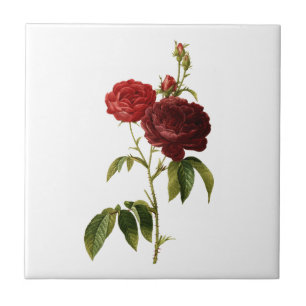 Tiefrote Vintage-Rosen-Malerei Fliese