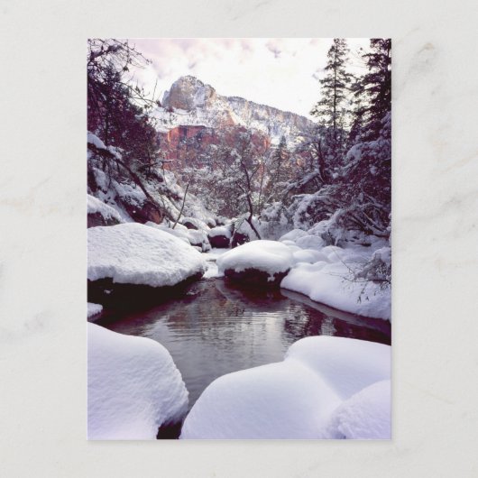 Tiefschnee in den mittleren Smaragdpools Postkarte (Vorderseite)