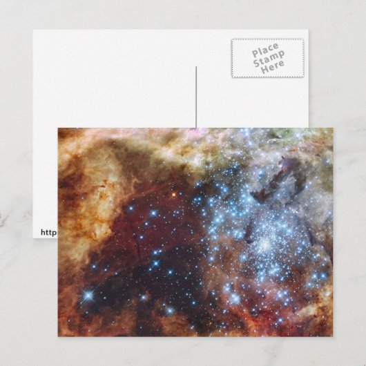 Tiefsee Postkarte (Vorne/Hinten)