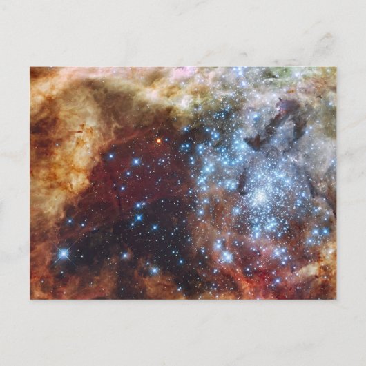 Tiefsee Postkarte (Vorderseite)