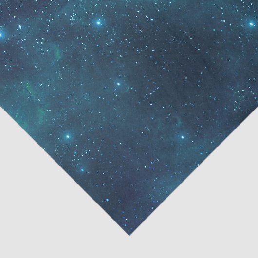 Tiefsee Seidenpapier (Ausschnitt)